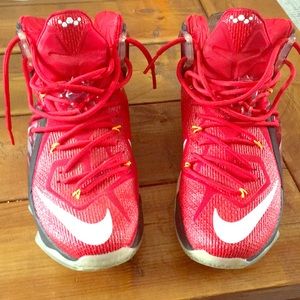 Lebron James The Twelve Elite Series